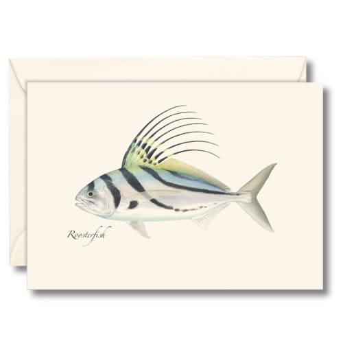 Image of Earth Sky + Water - Roosterfish Notecard Set - 8 Blank Cards with Envelopes