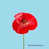 Diamond Bloom