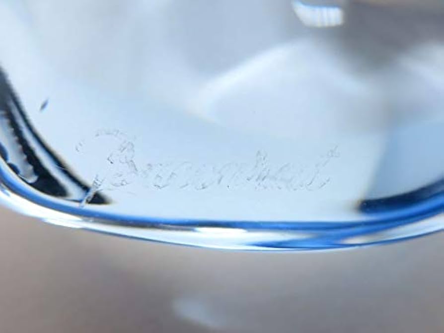 Amazon.co.jp: バカラ ネックレス ○ ロマンス ハート 丸 ライト