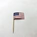 Be-Creative Mini cure-dents en papier avec drapeau des États-Unis d'Amérique - Décoration de fête, cocktail, restauration, pays