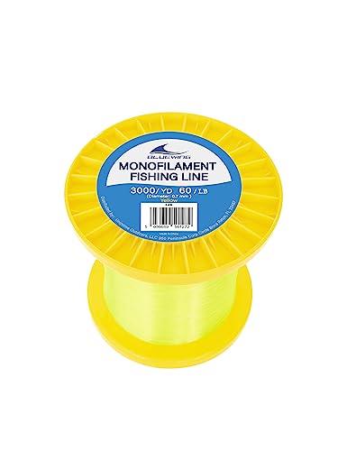 Image of BLUEWING Monofilament Fishing Line Clear Mono Fish Wire Thin Diameter String 6-400 lbs, 50-3000 Yards