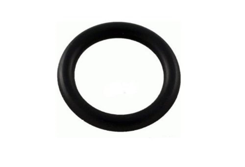 Joint torique de rechange Hayward D.E.CX2899A arbre filtre Perflex