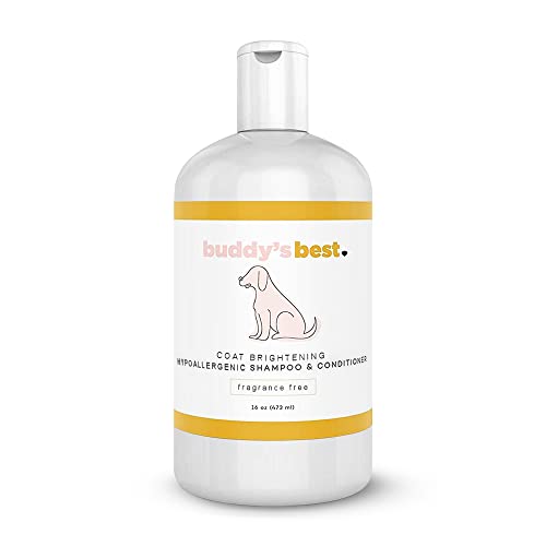 Best Puppy Shampoo — Complete Buyer's Guide And