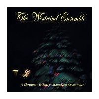 Christmas Tribute to Mannheim Steamroller [Audio CD]