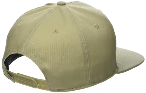 Image of Dickies Mens Dickies Skateboarding Flat Bill Cap