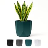 Bloem: Tuxton Hexagon Planter: 8