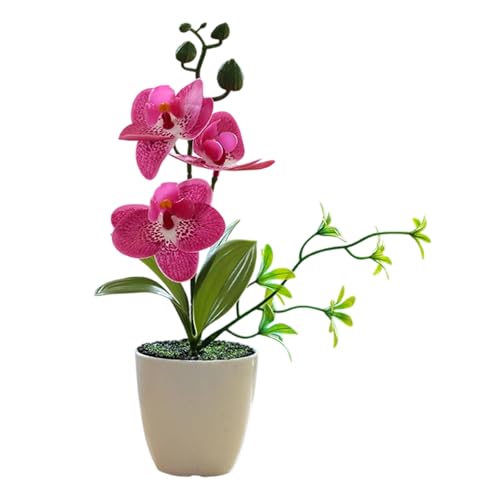 永久蝶蘭人工ディスプレイ植木鉢リアルな植物耐候性花家の装飾現実的な人工蝶蘭植物