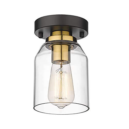 Zeyu ZG33F BK+BG Small Ceiling Light Fixture cover