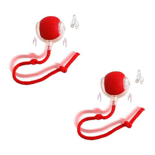 JSDNGU �C���^���N�e�B�u �L���b�g ���[�����O �{�[�� �X�[�p�[ �h���C�u �L���b�g ���[�����O �{�[�� ���̂������� ���[�V���� �A�N�e�B�x�[�g �Z���T�[ �y�b�g �q�L �e�B�[�U�[