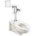 American Standard 5901100SS.020 Heavy-Duty Commercial Toilet Seat, White 2.13 in wide x 9.25 in tall x 17.88 in deep
