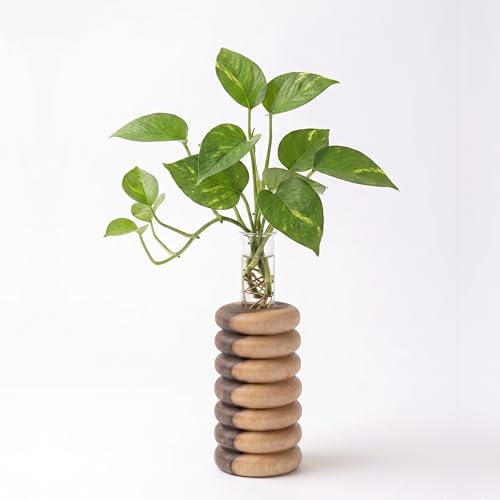 Image of Pilwal's Handcrafted Wooden Flower Vase & Test Tube Planter - Unique Minimalist Wooden Planter for Home 25mm Glass Tube Vase for Plants, Cuttings - Office Desk & Living Room Decor (7 Steps Design)
