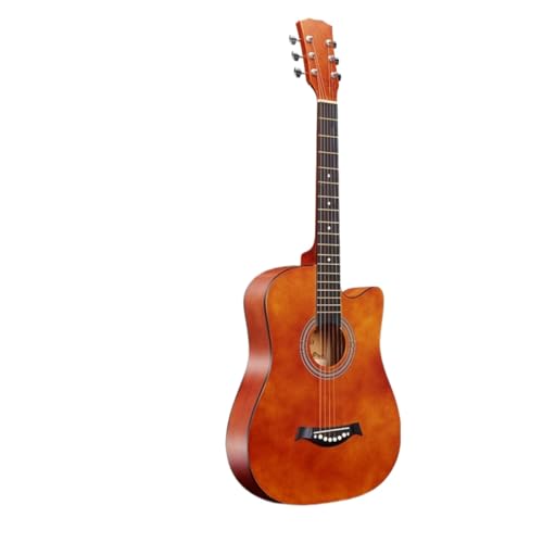 Hinniuy AR[XeBbNM^[ S M^[ w lp  ARMM^[ Zbg 38C` KM^[ (R[q[F)