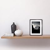 Zoom IMG-1 artery8 moonrise by half dome