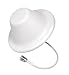 weBoost 4G LTE/ 3G High Performance Wide-Band Dome Ceiling Antenna (N-Female) 304412