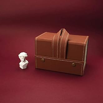 JD FRESH Sunglass Organizer/Foldable Spectacles Case/4 Slots Travel Googles Organizer Box/Eyeglasses Display Container Box/Hanging Eyewear Holder for Men and Women - (Brown)