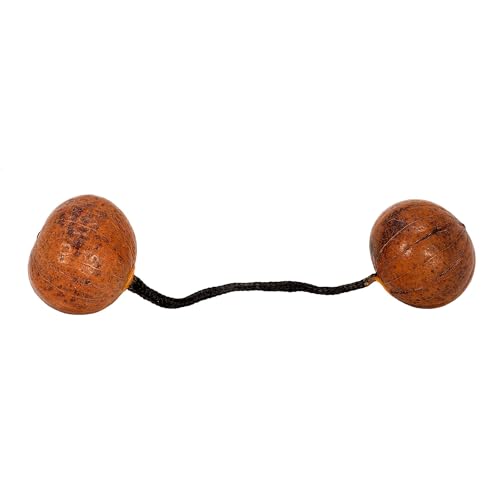 Experience the Rhythm: Terre Thelevi or Asratoa African Shaker in Three Sizes (M)