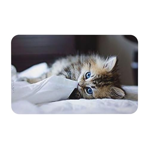 ]yoX}bgA􂦂A~߁AzAoX[AEߏAgCALb`ɍœK(AjL̎qL)