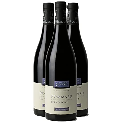Pommard Les Noizons 2022 – Tinto de Pinot Noir DOP Bourgogne – Domaine Cauvard Pommard Les Noizons 2022 – Tinto de Pinot Noir DOP Bourgogne – Domaine Cauvard