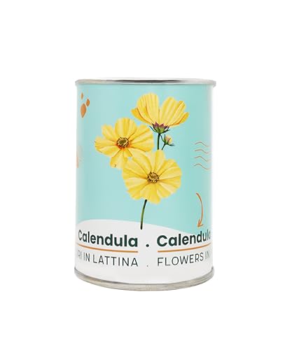 iGreen Fiori in Lattina - Kit Coltivazione Fiore (Calendula) - Idea Regalo Ecosostenibile - 100% Made in Italy - Lattina in Alluminio con Semi di Pianta o Fiore Decorativo e Riciclabile