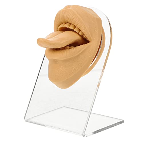 Modèle de langue flexible FOMIYES pour s'exercer au piercing de bouche sans risques