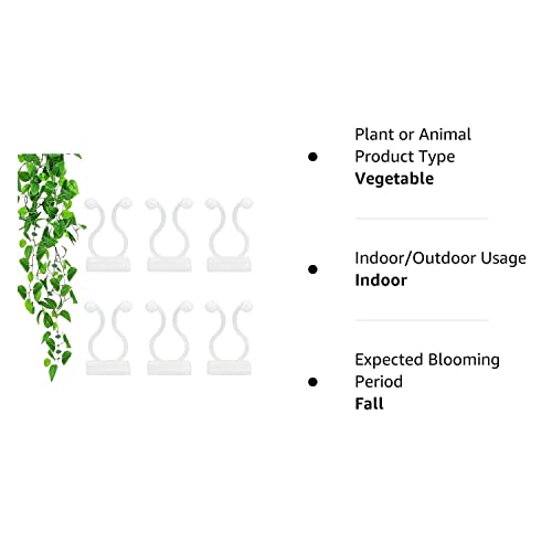 Plant Climbing Wall Fixture Clips,100Pcs Plant Fixer Self-Adhesive Hook,Garden Vegetable Plant Support Binding Clip Invisible Wall Vines,Fixture Wall Sticky Hook Fixing Clip Vines Holder (B-100 Pcs) #TOP7