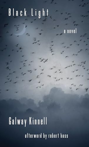 Black Light: A Novel