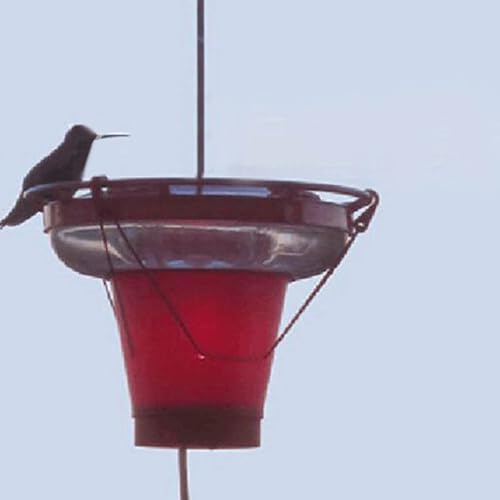Backyard Bird Centre Hummer Hearth Hummingbird Feeder Heater, Made in ...