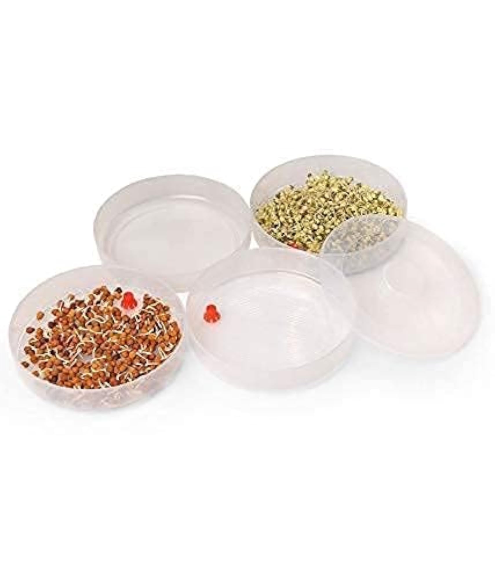 Plastic Sprout Maker with 3 Compartments for Multi-Purpose Use