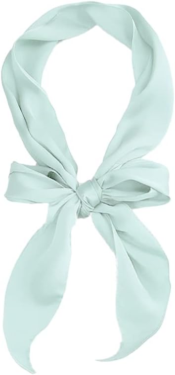 COTIM COYIN Women Plain Skinny Scarf, Solid Color Long Neckerchief Hair Band Choker for Women Purse Handbag