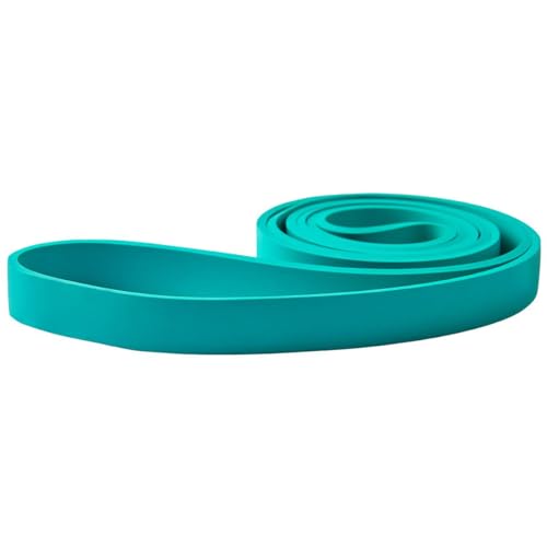 WSAKOUE Resistance Bands, Pull Up Bands, Pull Up Assist Band Exercise Resistance Bands for Men & Women Working Out, Body Stretching, Physical Therapy, Muscle Training - Green