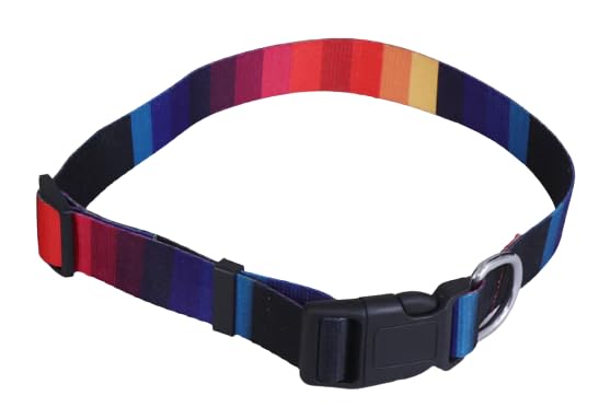 PawCloud Dog Collar, Strip Design- Medium 18mm, Multicolour (B0CDBZ9BCY) Amazon Price History, Amazon Price Tracker