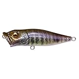 メガバス(Megabass) POPX FA ベビーギル