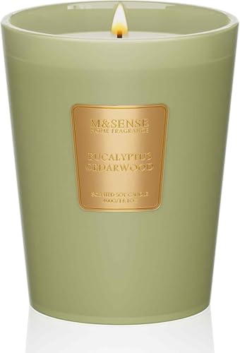 M&SENSE Eucalyptus Cedarwood Soy Candle, 14.1oz 60H Long Lasting, Aromatherapy Candle for Bathroom Freshness Home Decor Housewarming Gifts