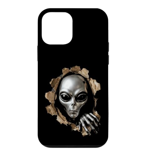 �O���C�G�C���A���u���C�N�X���[�n���O�K��� �X�}�z�P�[�X iPhone 12 mini �p