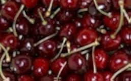 4 lbs Washington Dark Red Sweet Cherries