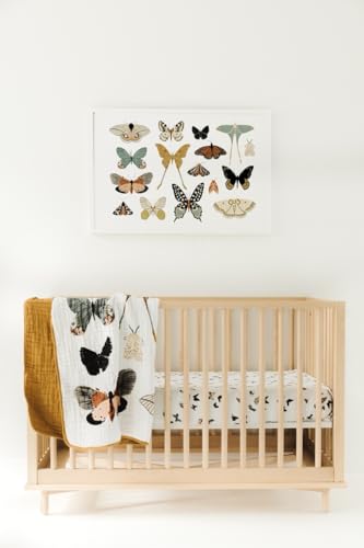 Image of CLEMENTINE KIDS Reversible Quilts (Butterfly Collector)