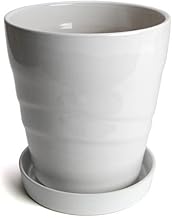 White No. 7 Plant Pot with Plate, Stylish Pot, Width 8.5 inches (21.5 cm), Ceramic MBC22