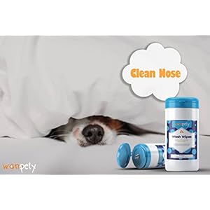 Wanpety pet wipes  dog wipes  wash wipes for dogs and cats  washing and grooming wipes for pets  eligible for all breeds  suitable for daily usage  alcohol and paraben free  70 pieces   cucciolini doodles