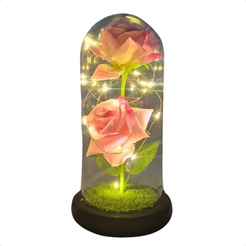 BolaAzul, Rosa Dupla em Cupula Flor Redoma c/Led Domo Bela e a Fera G