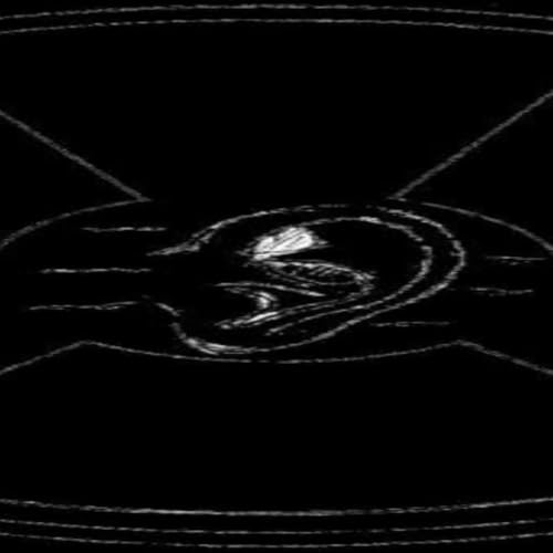 The Moist Libertarian Podcast Por Lead Lined Cloth Ears arte de portada