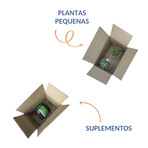 100 Caixas de Papelão Correio Sedex/E-commerce 19x12x12cm