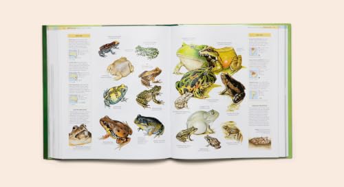 Image of The Encyclopedia of Animals: A Complete Visual Guide