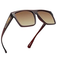 #1 Brown Frame / Polarized Brown Lens