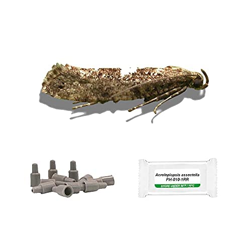 PlantPro Pack of 3 Moth Trap Attractant Pheromones (Leek Moth)