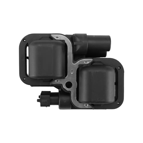 Bobina de encendido 4010425: solucione fallos de arranque en su RZR 1000