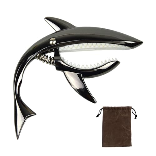  aternee TM^[J|AXvOJ|Ag[NbvAtH[NM^[p̂킢`̃J|, 