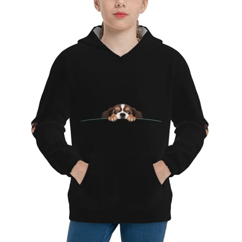 Image of Boy'S Sweatshirt Fleece Hoodie Blend Hooded Sweatshirt Plush Pullover Hoodie Size For Boys And Girls