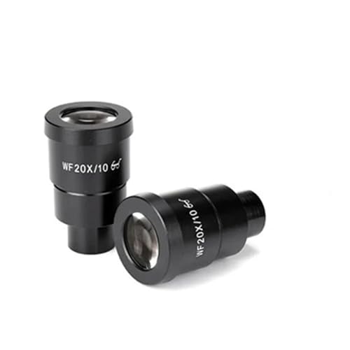 �������L�b�g WF20X/10 �L����ڊ჌���Y WF20X ���A�C�|�C���g���w�K���X�����Y 30 �~�����[�g����t�T�C�Y���a���̌������p �����������Y�A�_�v�^�[(2pcs WF20X10-Scale)
