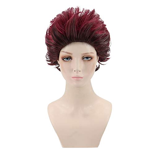 Frolada Unisex Perücke Kurze Frauen Cosplay Anime Kostüm Mode Anime Rot Kurz Synthetisches Haar Party Haarteil Für Frauen Männer Jungen Mädchen rot Cover