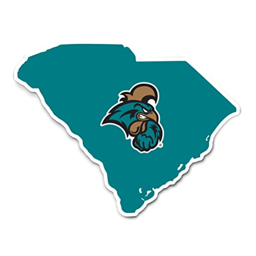 Desert Cactus Coastal Carolina University Chanticleers CCU CINO Vinyl Decal Laptop Water Bottle Car Scrapbook (State Border Sticker)